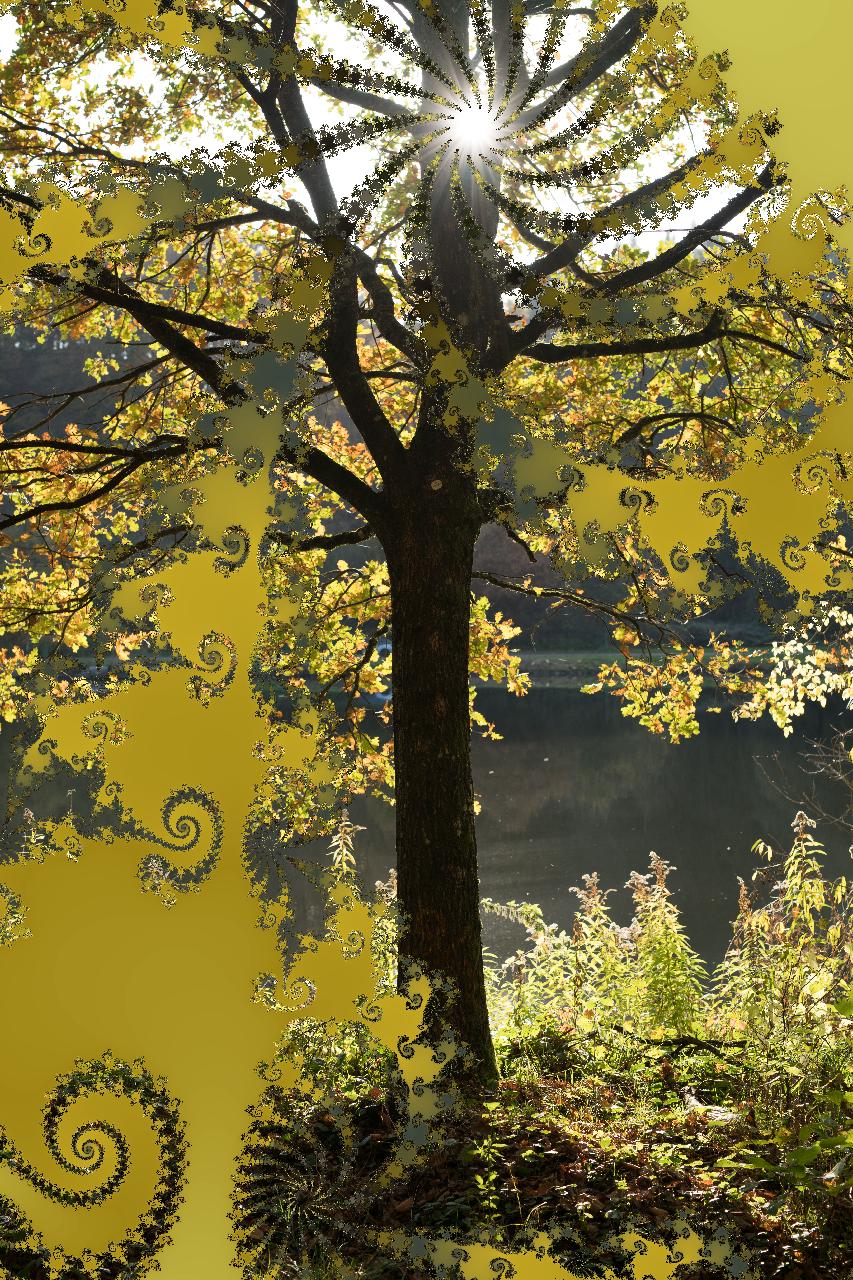 034. Herbstlicht