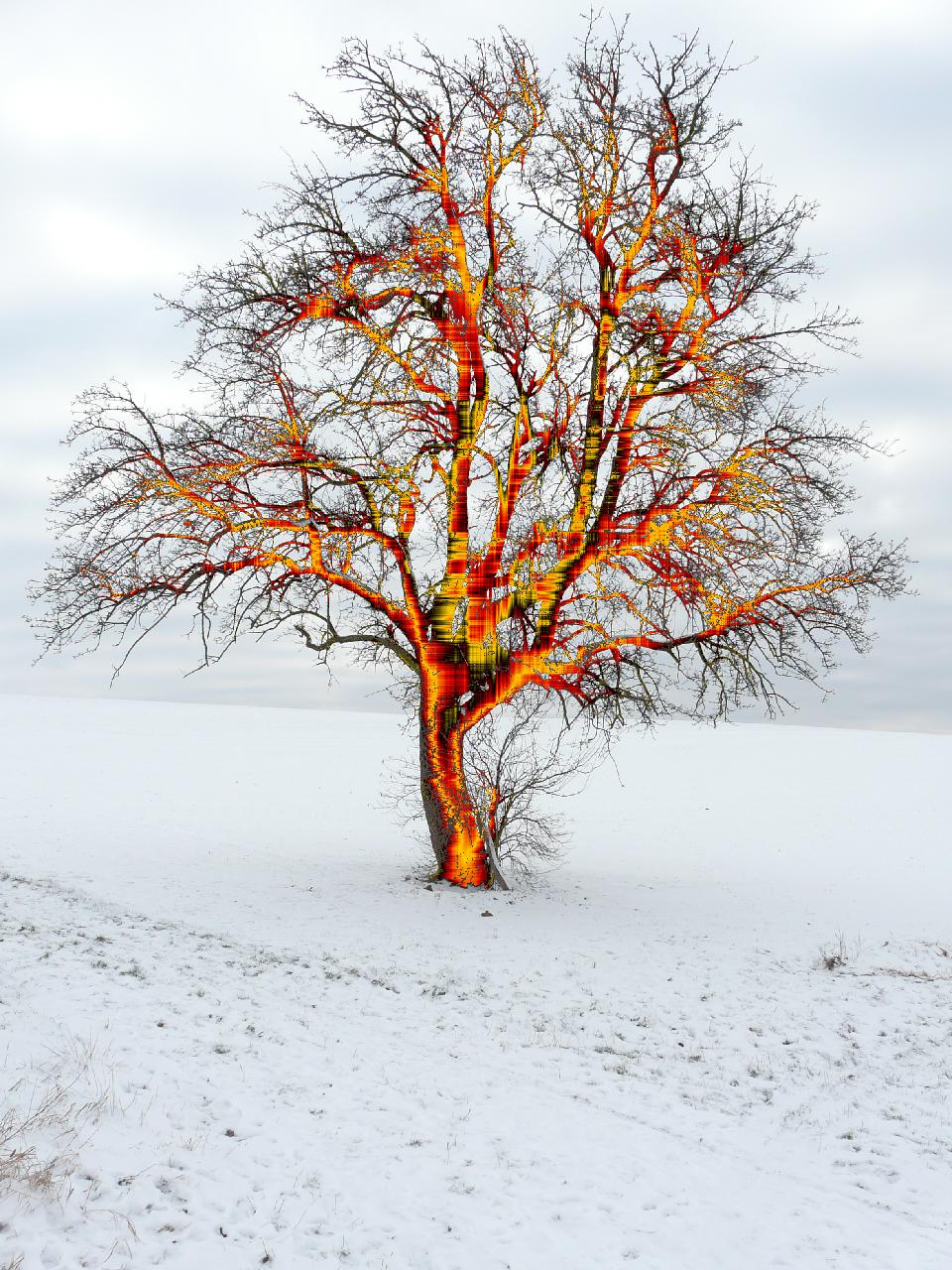 067. Winterfeuer