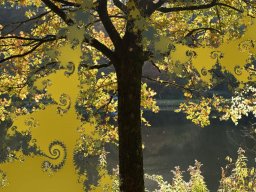 Herbstlicht