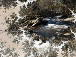 Vennwasser