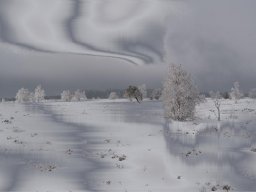 Vennweiß