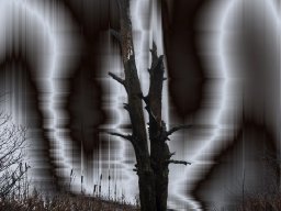 Grauzonen